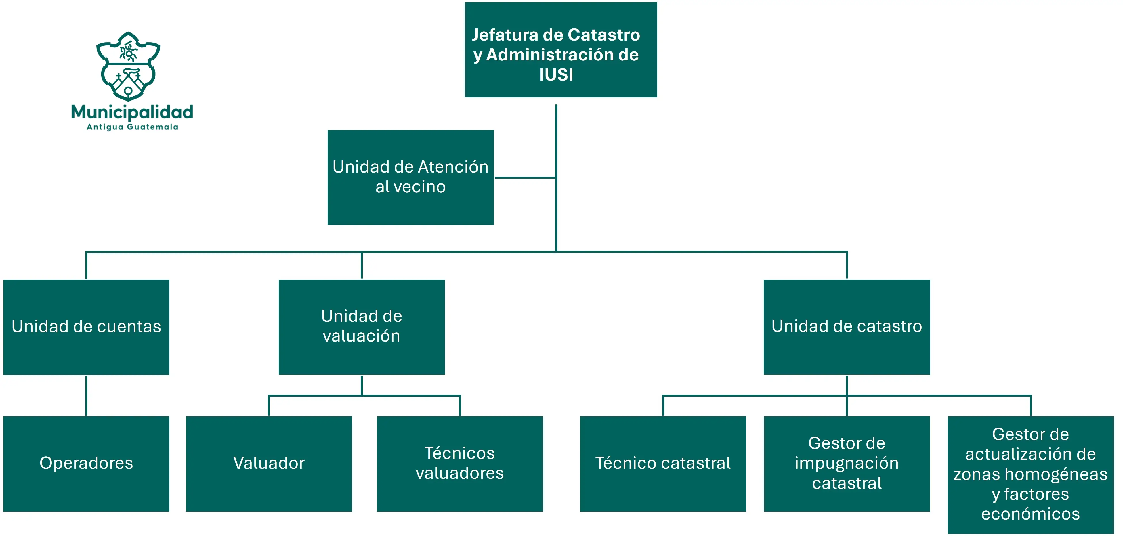 Organigrama