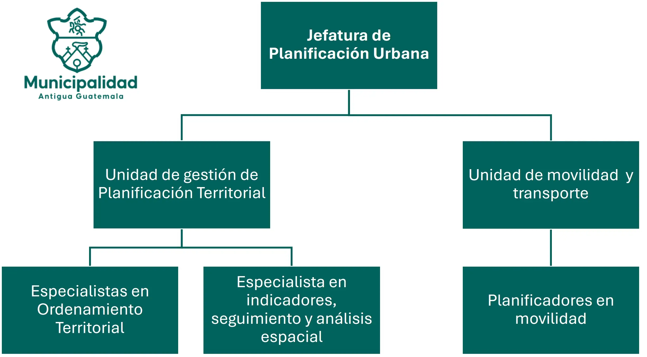 Organigrama